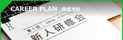 CAREER PLAN 育成方針
